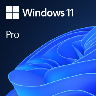 Microsoft Windows 11 Pro 64-bit - OEI - DVD