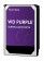 WD Purple 10TB Surveillance Hard Disk Drive - Intellipower SATA 6 Gb/s 256MB Cache 3.5 Inch-WD100TB-by Western Digital